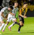 Lance do jogo entre Palmeiras e Novorizontino  Foto: ( Juan Rodrigues/Novorizontino / Sportbuzz