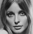 Coincidência macabra: um detalhe assustador que une a atriz Sharon Tate e o serial killer Ted Bundy.  Foto: Getty Images, Divulgação/Netflix / Purepeople