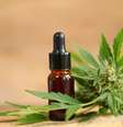 Até o momento, o mercado nacional dispõe de cerca de 40 produtos derivados, mas nenhum é classificado formalmente como medicamento  Foto: Canva Fotos / Perfil Brasil