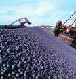 Operações da VALE3 impulsionaram produção recorde de minério, cobre e níquel em 2025  Foto: Suno