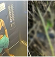 Corpo de corretora foi encontrada em uma região de mata em Caldas Novas (GO)  Foto: Divulgação
