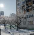 Esta fotografia mostra a neve e o gelo cobrindo o solo em frente a um prédio residencial danificado em Kharkiv, em 4 de fevereiro de 2026.  Foto: AFP - IVAN SAMOILOV / RFI