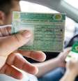O número de pedidos passou de 369,2 mil, em janeiro de 2025, para 1,7 milhão em janeiro de 2026  Foto: Reprodução/N1N / Estadão