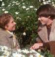 Maude (Ruth Gordon) e Harold (Bud Cort): uma ligação marcada por profundos sentimentos  Foto: Reprodução