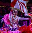 Acadêmicos do Salgueiro encerrou os desfiles do carnaval do Rio de Janeiro na madrugada desta quarta-feira, 18  Foto: Douglas Shineidr/Especial para o Terra