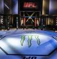 Octógno de MMA   Foto: Reprodução / Twitter UFC Japão / Esporte News Mundo