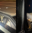 Polícia flagra carro abandonado com 18 bodes amontoados em Caruaru, PE  Foto: Divulgação/PRF