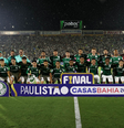 Palmeiras x Novorizontino   Foto: Cesar Greco/Palmeiras/by Canon / Esporte News Mundo