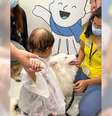 Projeto “Love que Cuida” leva cães resgatados para apoiar crianças com câncer no GRAACC, unindo terapia, afeto e incentivo à adoção  Foto: Divulgação / Bons Fluidos