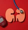 Diabetes e hipertensão arterial estão entre os principais fatores de risco para o desenvolvimento da doença renal crônica  Foto: AtlasStudio | Shutterstock / Portal EdiCase