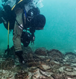 Naufrágio do Império Romano de 2 mil anos é encontrado em lago na Suíça  Foto: Divulgação/Octopus Foundation