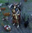 Jogador de Crimson Desert cria exército de gatos no jogo  Foto: Reprodução / ButeosDolichovespula / Reddit