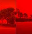 Moradores mostraram a visão do céu na Austrália  Foto: Reprodução/Redes sociais