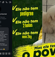 Após mensagem do perfil da pipoca gourmet, uma campanha a favor do cachorro se iniciou na internet  Foto: Reprodução/Redes Sociais