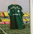 Palmeiras joga na Colômbia  Foto: Divulgação/Palmeiras