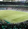 O estádio do Palmeiras vai ganhar um novo nome  Foto: Divulgação
