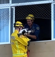 Cachorrinho é resgatado após prédio ser evacuado em Itajaí  Foto: Corpo de Bombeiros de Santa Catarina/Cedido ao Terra