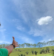 Com 200 hectares e 20 mil espécies nativas: fazenda de Marcos Palmeiras agora tem visitação e degustação de queijo, eleito um dos melhores do Brasil; saiba preço!.  Foto: Reprodução, Instagram / Purepeople