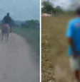 Polícia Civil de Alagoas prende homem por estupro no interior de Alagoas  Foto: Reprodução/Instagram