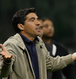 (  Foto: Cesar Greco/Palmeiras/by Canon / Esporte News Mundo