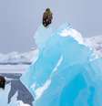 Um iceberg em Nuuk, em 7 de março de 2025. A Groenlândia perdeu 139 gigatoneladas de gelo no ano passado, o equivalente a 100 piscinas olímpicas.  Foto: RFI