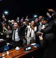 Senadores celebrando com os braços levantados no plenário  Foto: Carlos Moura/Agência Senado / BBC News Brasil