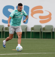 Paulinho participou da preparação para o jogo entre Palmeiras e Santos e voltou a ser relacionado pelo Alviverde Paulista  Foto: Cesar Greco/Palmeiras/by Canon