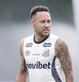 Robinho Jr. e Neymar durante treino no Santos Foto: Raul Baretta/Santos FC