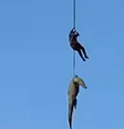 Policial é içado por helicóptero após capturar crocodilo na África do Sul  Foto: Divulgação/Serviço de Polícia Sul-Africana 