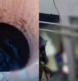 Égua cai em adutora e deixa mais de 700 bairros sem água na Grande BH  Foto: 