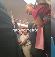 Rato invade vagão de metrô no Rio de Janeiro e causa desespero  Foto: Reprodução/TikTok