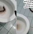 Lacraia estava escondida na borda do vaso sanitário Foto: Reprodução/Redes sociais