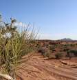 Deserto Foto: Shutterstock / Xataka