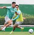 Paulinho ficar fora de jogo na Copa do Brasil não causou preocupação no Palmeiras –  Foto: Cesar Greco/Palmeiras / Jogada10