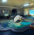 Subnautica 2 vende 1 milhão de cópias e registra mais de 465 mil jogadores no Steam  Foto: Reprodução / Unknown Worlds