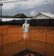 Centro de tratamento contra o ebola, em 7 de novembro de 2018 em Bunia, na República Democrática do Congo (Imagem de ilustração)  Foto: AFP - JOHN WESSELS / RFI