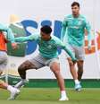 Palmeiras é líder do Grupo F da Libertadores –  Foto: Cesar Greco / Palmeiras / Jogada10
