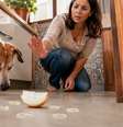 Cebola faz mal para cachorro Foto: SaúdeLAB