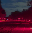 Projeto utiliza LEDs vermelhos para reduzir poluição luminosa e preservar corredores naturais do animal  Foto: Reprodução 