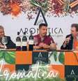 Vinhos da vinícola de Hernanes, o Profeta - Foto: Divulgação / Instagram @cadelprofetawines / Jogada10
