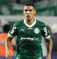 Cesar Greco / Palmeiras Foto: Esporte News Mundo