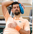 Djokovic foi zoado até por Zé Gotinha  Foto: Lionel Hahn/Getty Images | Reprodução/Instagram/zegotinha