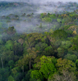 Mercado de crédito de carbono pode ser benéfico financeiramente para o Brasil Foto: Getty Images/Ignacio Palacios