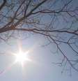 Calor e baixa umidade no Nordeste. Foto: Reprodução/TV Globo / Portal de Prefeitura