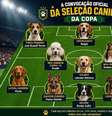 Seleção canina Foto: SaúdeLAB