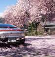 Forza Horizon 6 ganha patch para consertar bug que apaga progresso dos jogadores  Foto: Reprodução / Xbox Game Studios