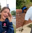 Repórter Monique Danello interrompeu fala e se assustou ao homem tirar rato morto ao vivo durante live  Foto: Reprodução/Instagram/Monique Danello