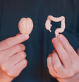 Conexão direta entre cérebro e intestino é capaz de influenciar a digestão, o trânsito intestinal e até a composição da microbiota Foto: Chizhevskaya Ekaterina | Shutterstock / Portal EdiCase