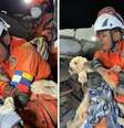 Cachorrinha é resgatada com vida 5 dias após terremotos da Venezuela  Foto: Reproução/redes sociais
