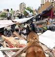 Terremotos devastadores atingiram Venezuela em 24 de junho  Foto: ANSA / Ansa - Brasil